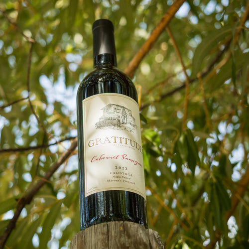 2022 Cabernet Sauvignon Marcey's Vineyard