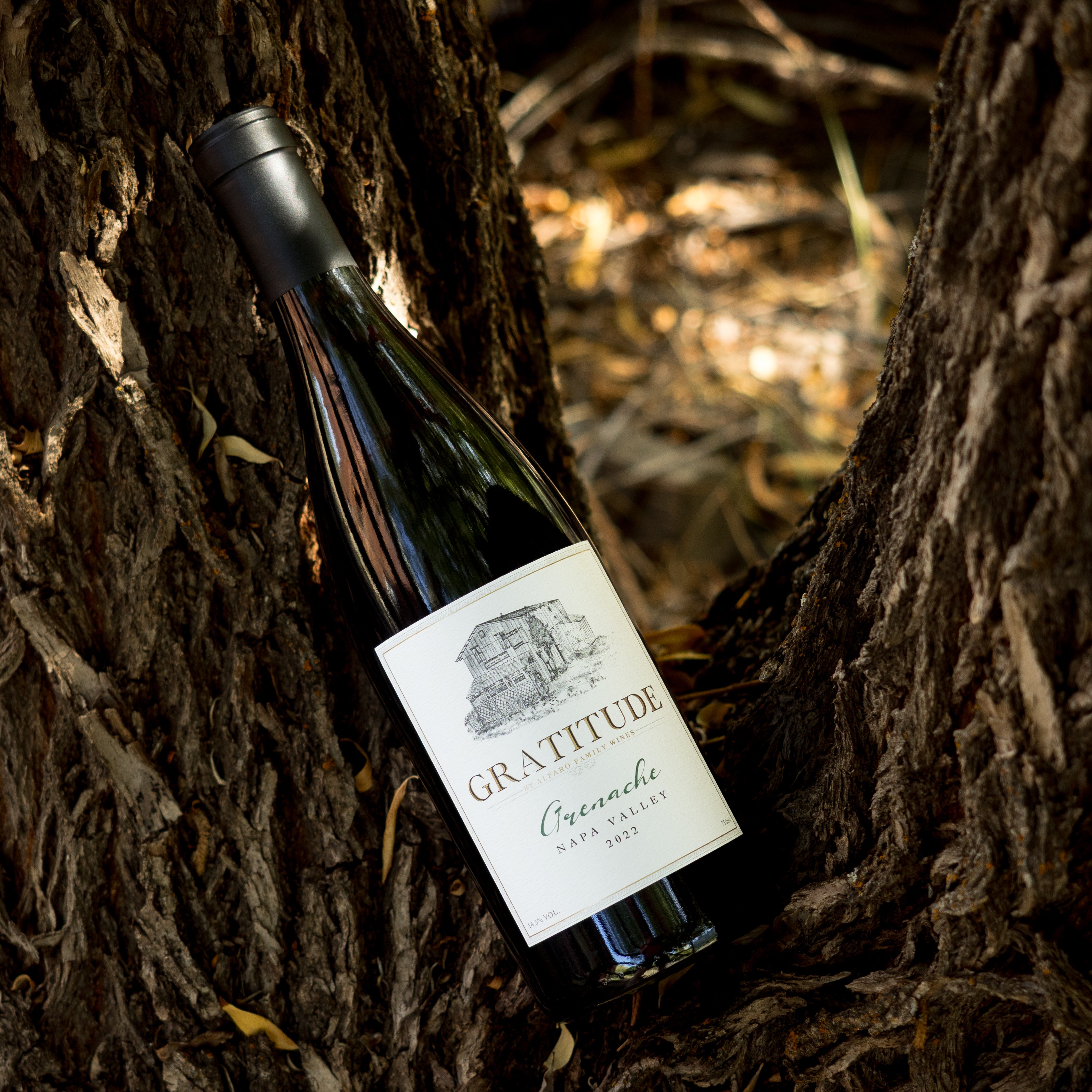 2022 Grenache