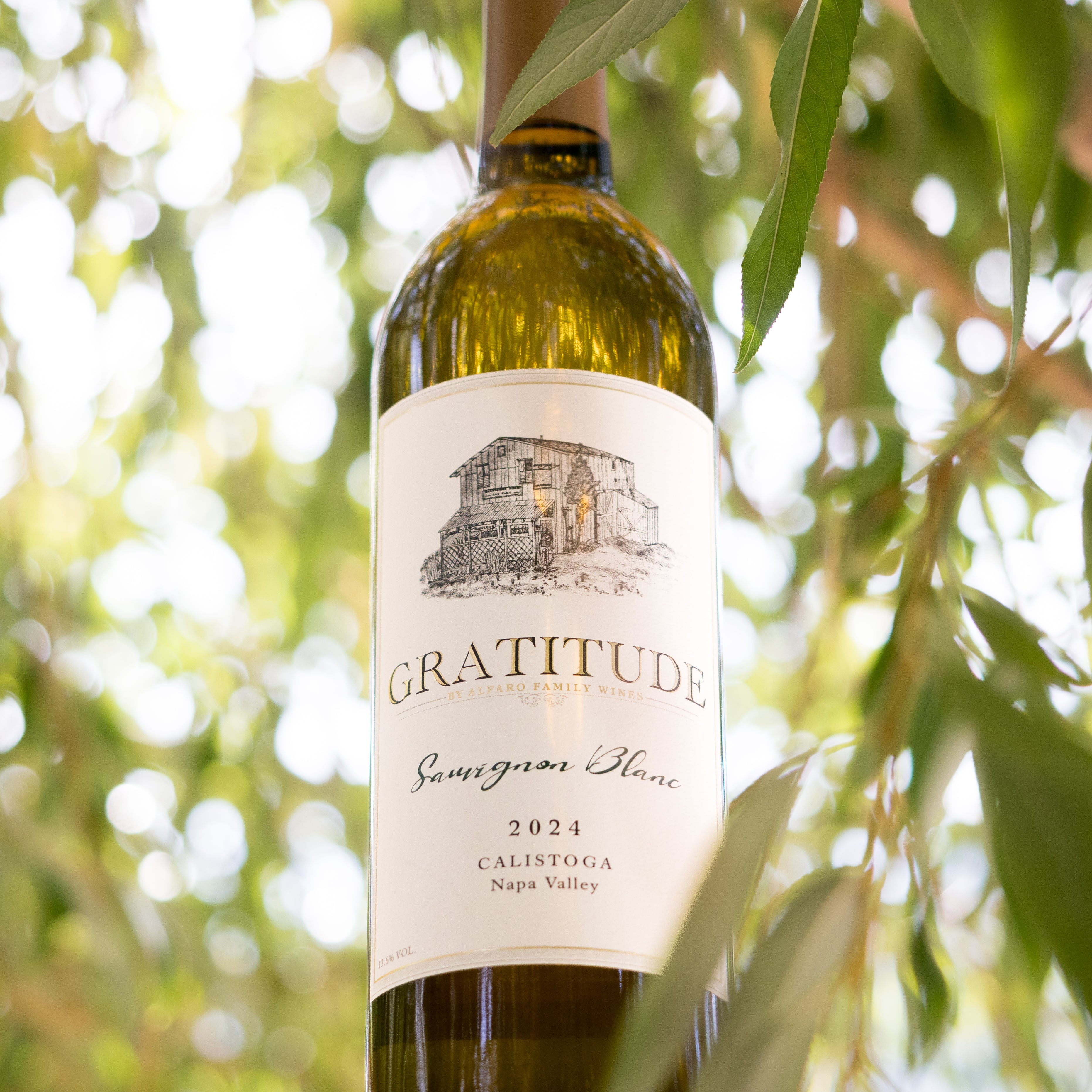 2024 Sauvignon Blanc